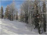 Koča pri Savici - Planina Lopučnica